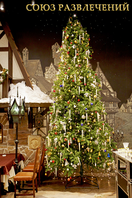 Услуги Фотографа